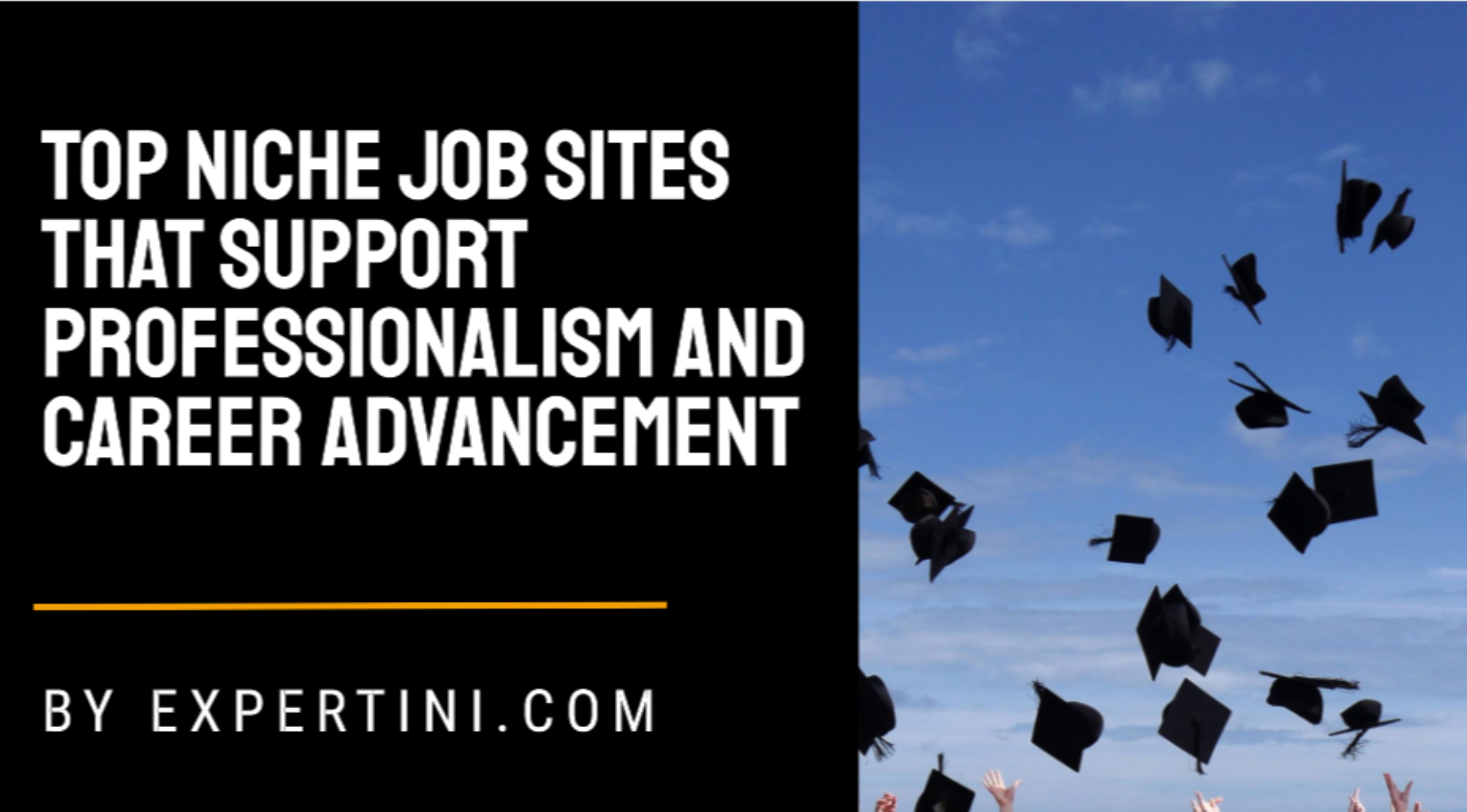 Top 275 Niche Job Sites That Support Professionalism and Career Advancement for United States